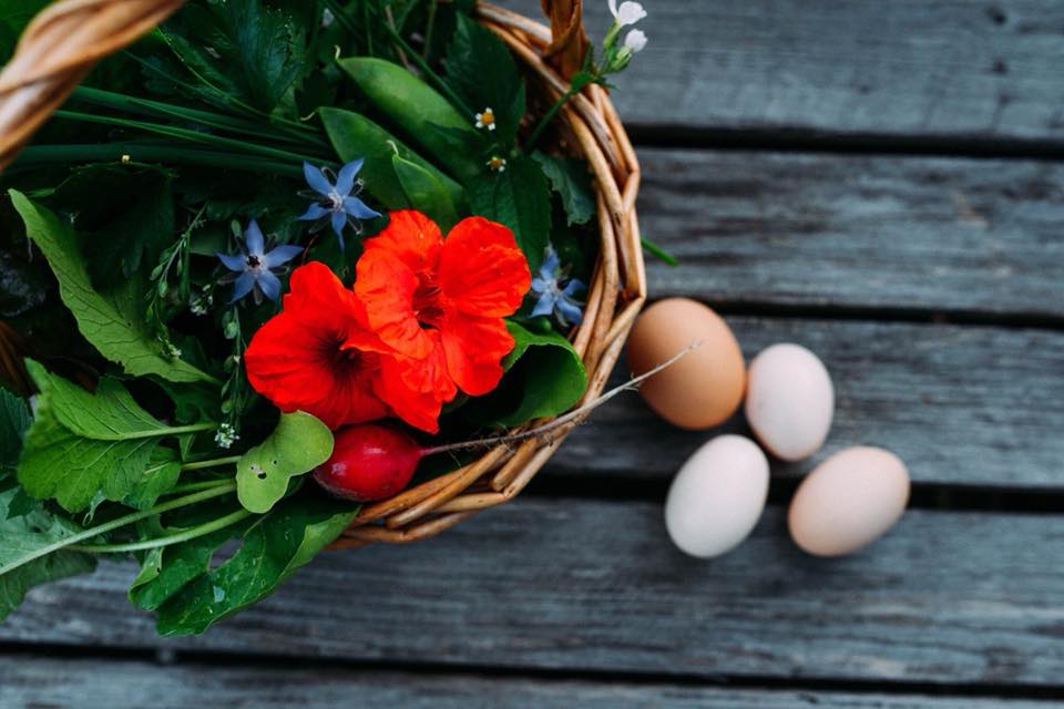 Gründungsversammlung „Ernährungsrat für den Landkreis Fürstenfeldbruck“