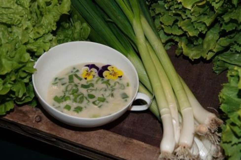 Produkt des Monats: Frühlingszwiebelsuppe