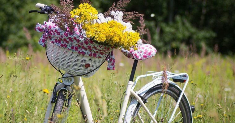 Hof-Genuss-Radtour nach Olching