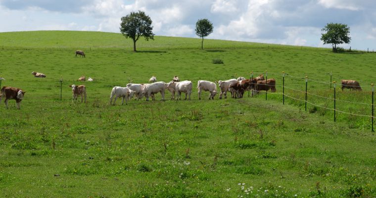 Einladung zur Hofladenradtour