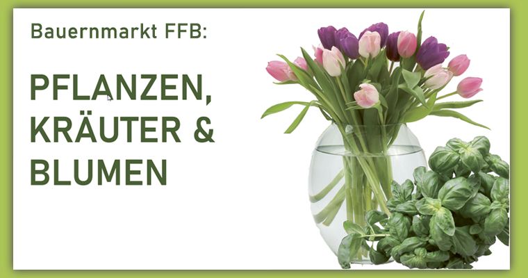 Pflanzen, Kräuter & Blumen auf dem Brucker Bauernmarkt
