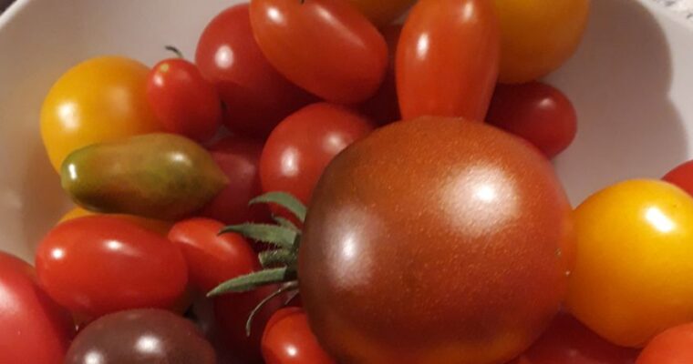Einladung zum Koch-Workshop: „Tomaten-Liebe“